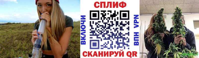 LSD-25 Мончегорск