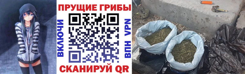 блэк спрут ССЫЛКА Мончегорск Галлюциногенные грибы прущие грибы наркота